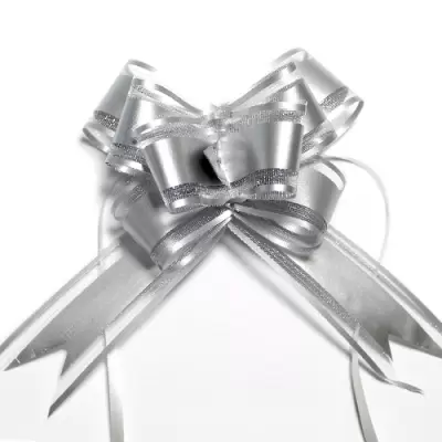 Set 10 fundite rapide argintii