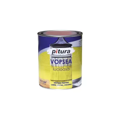 Vopsea lucioasa 600 ml culoare rosu pitura